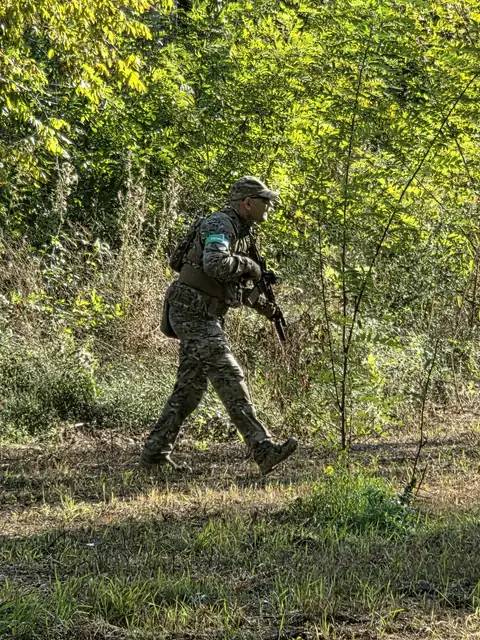 Avanzata nel bosco